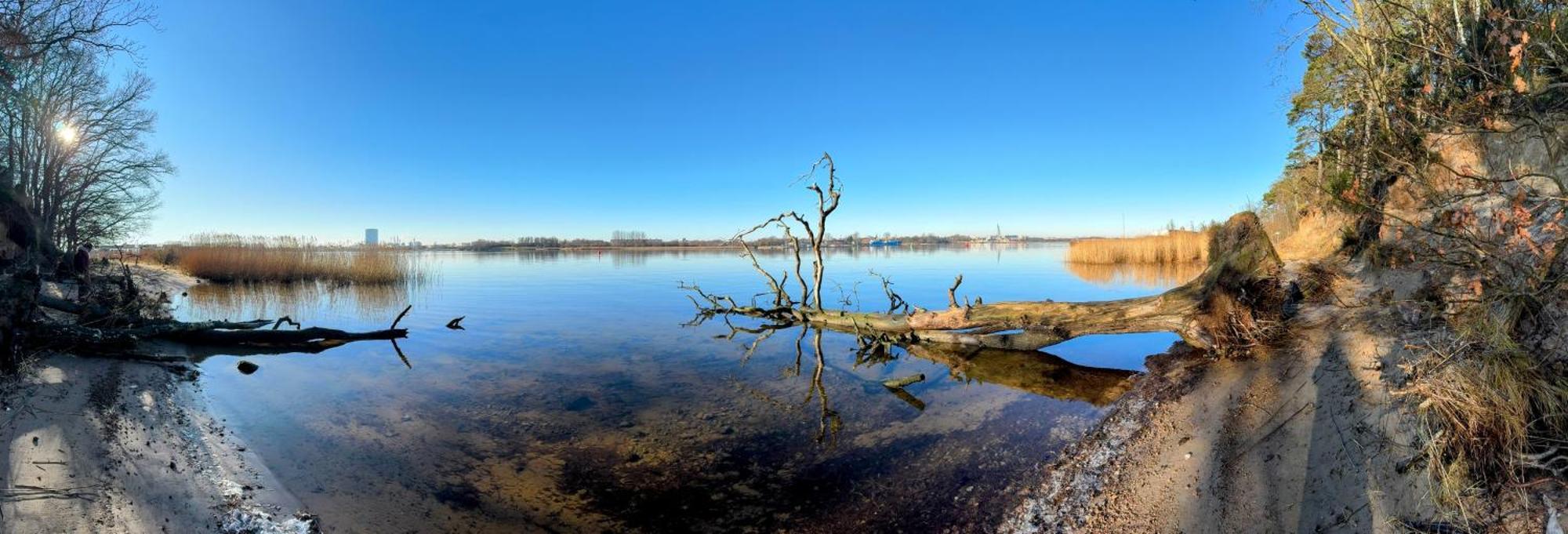 Sunlit Garden Am Wald Warnowufer * Rostock